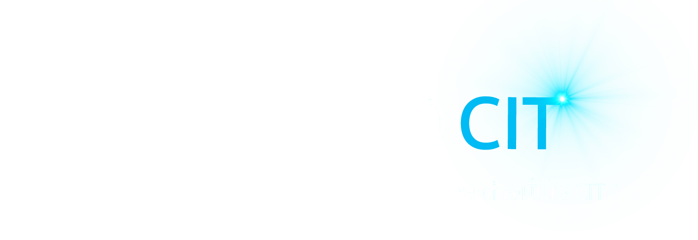 ลูกค้าไม้กั้นรถยนต์